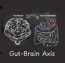 Gut-Brain Connection: What It Is, How It Works, and Why It Matters