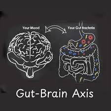 Gut-Brain Connection: What It Is, How It Works, and Why It Matters