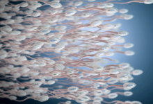 Sperm Health: Get to Know and Understand it.